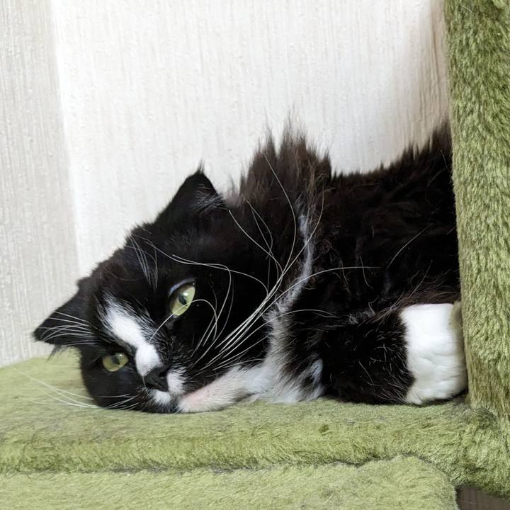 7e060712 2fbd 43b8 8730 d45ebf465662 1713015850899