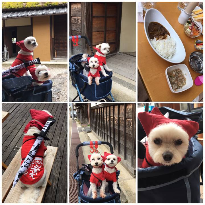 7e0611a6 4bce 4963 b5eb b9bcf5fdfd40 1559976153283