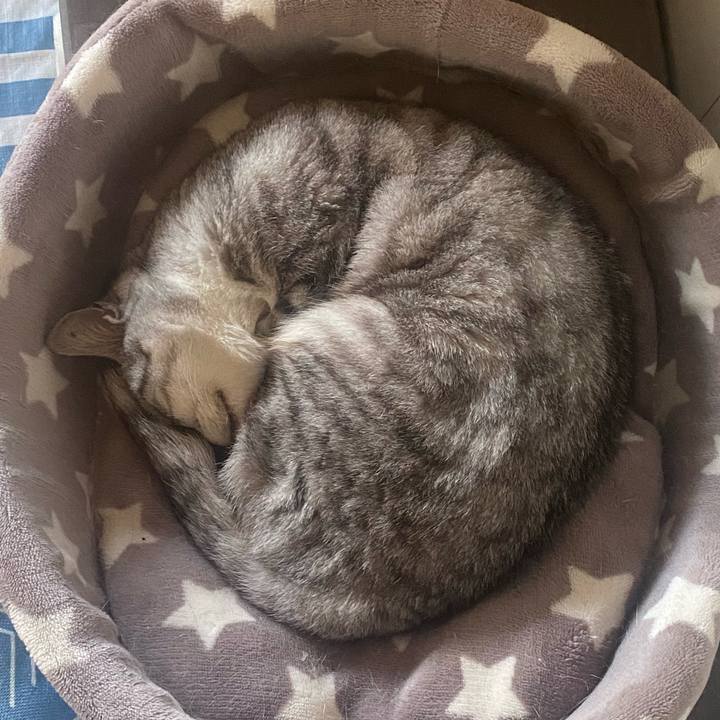 7e062a06 b5be 40d0 9ab0 5c5e18dc34bc 1748751061245