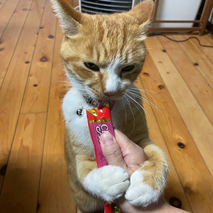 7e064d5e c0d7 41f6 a14f b832b537d294 1745668524926