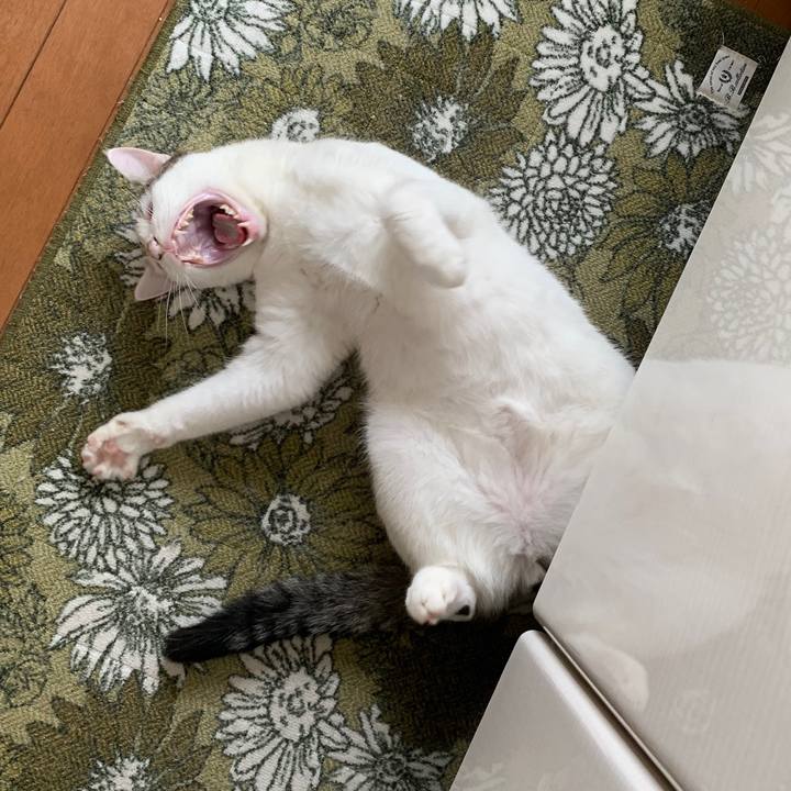 7e06a80a 5302 4cc5 a642 a02881c3ee5c 1637548026870