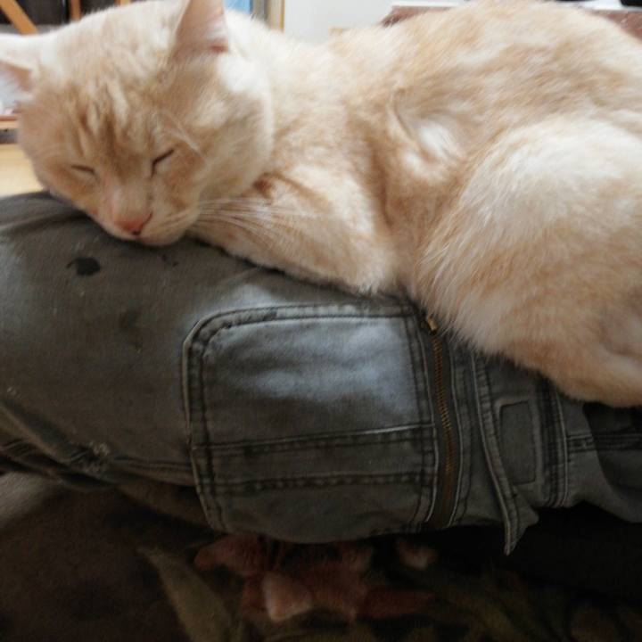 7e06ec4d a765 4f33 a7b0 3cafc30c515a 1616797027163