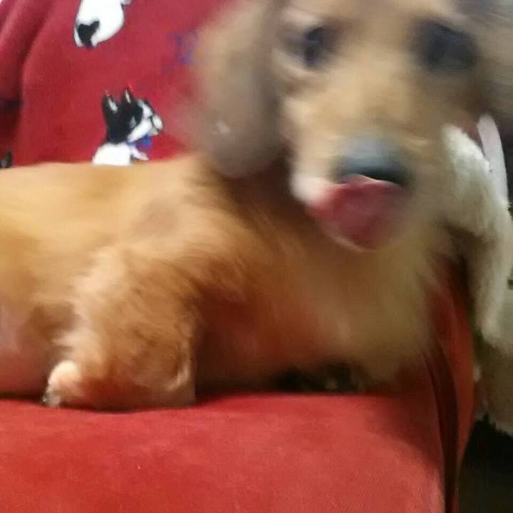 7e0702b9 3d5b 421b 95fa ea1c1158fc79 1587474204198