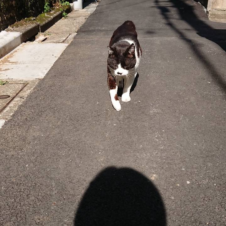 7e07140f 33ba 4cb2 92e8 add2ecc85299 1619049084417