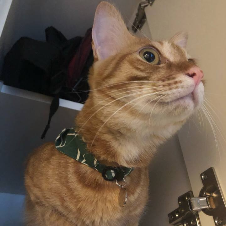 7e071e52 425a 41bb 80c0 5c6ab289810b 1634600256538