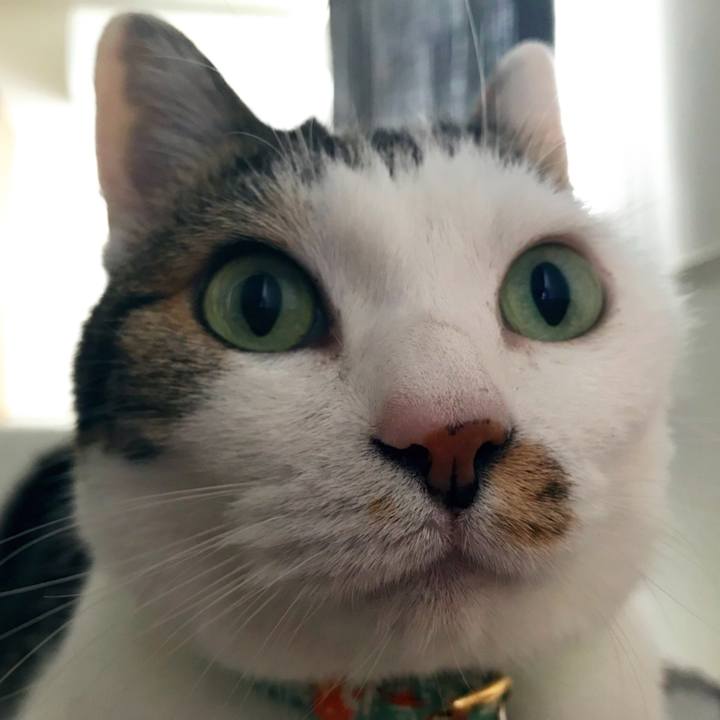 7e07255b b5a5 47e6 a035 7e4d89645054 1528008409496