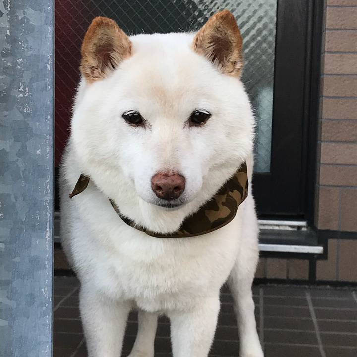 7e075d86 8ff9 4fe0 8575 a67f49257df9 1639320559800