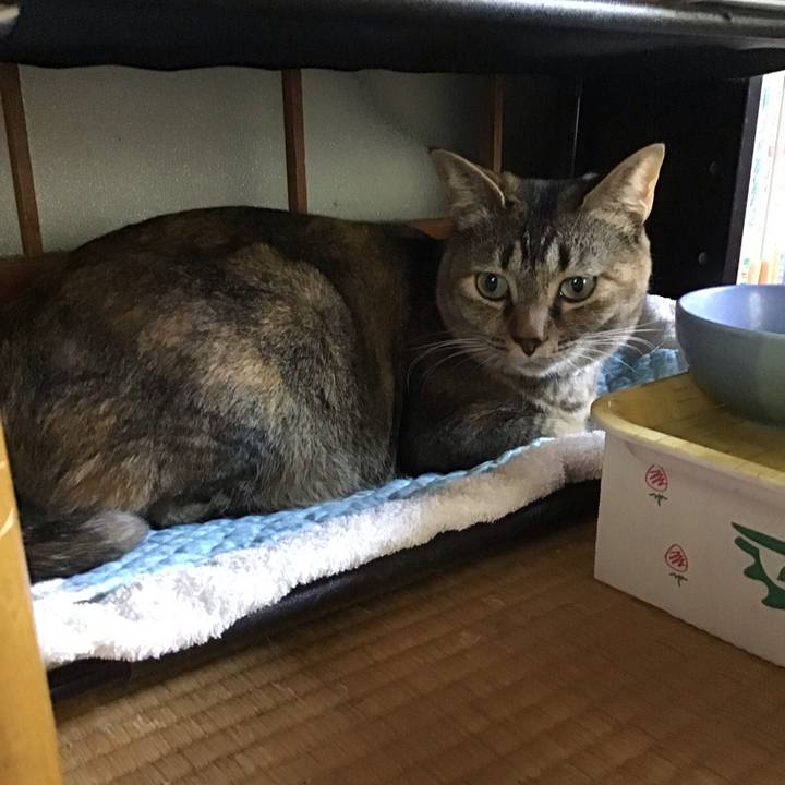 7e07e903 32d6 4e21 b7ef e5c649818ff8 1653370545847