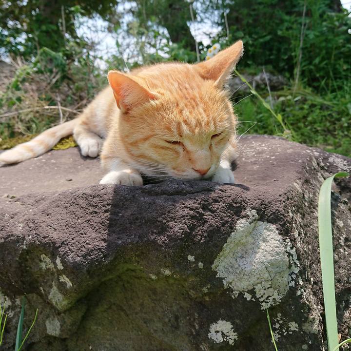 7e082c0a 858f 4b6a a028 1e4d2e761c0f 1590892124643