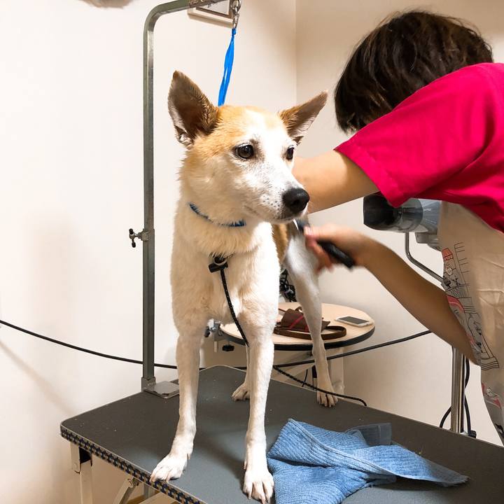 7e082e18 5462 45b3 b77d ad80e3c20c8d 1591919129544