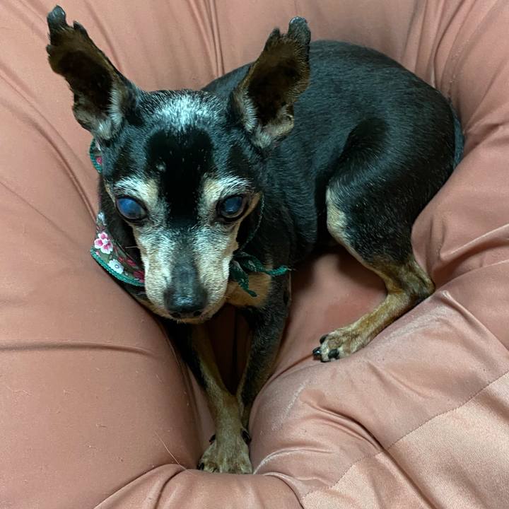 7e084c47 2a97 4d1d 84a0 592debb44177 1580394768132