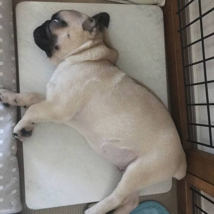 7e08846c 213c 4b53 b807 e68de2a3c5fb 1535252949499