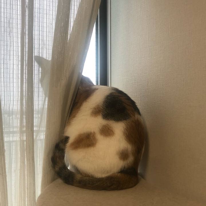 7e08aab2 606e 404c a29a ae8352b938b4 1586734358705