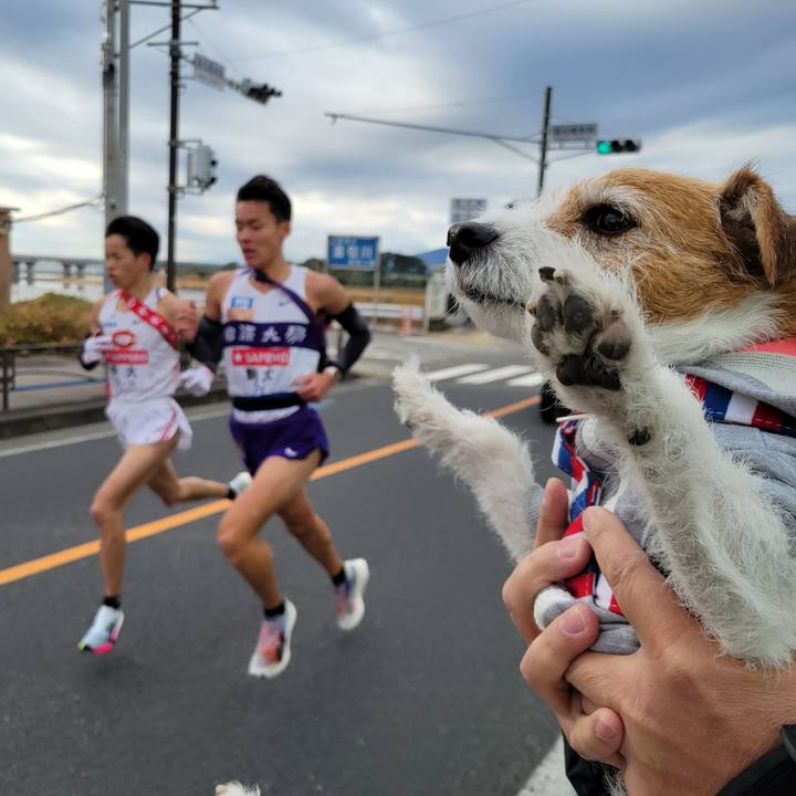 7e08cbd3 10b8 4c4b a348 9f48ce182be8 1735913691756