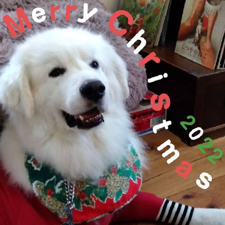 7e08f4bd 7f9c 4fec 829e 66e03151b3de 1671835301662