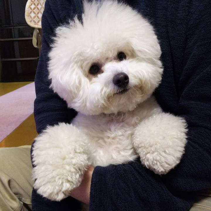 7e0921d2 49ad 4ccc aa5e 3db73362ff23 1520247750818