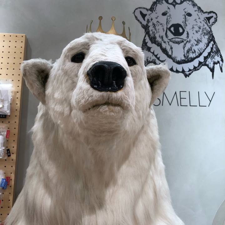 7e092331 b40b 4d83 85d1 1d94e96ccb49 1660262632505