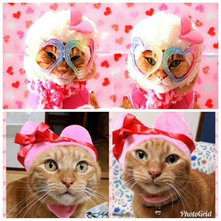 7e09833a bf42 438a 8d27 82dfd9c47f1c 1536757980392