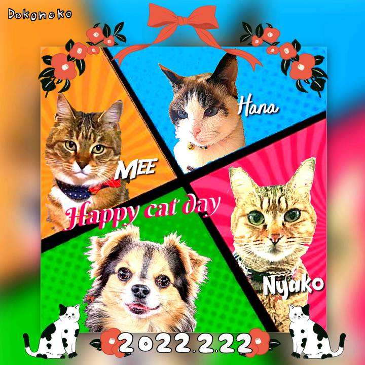 7e0991fd 50a1 4dea 9d4c b7a315b45c8e 1645514300421
