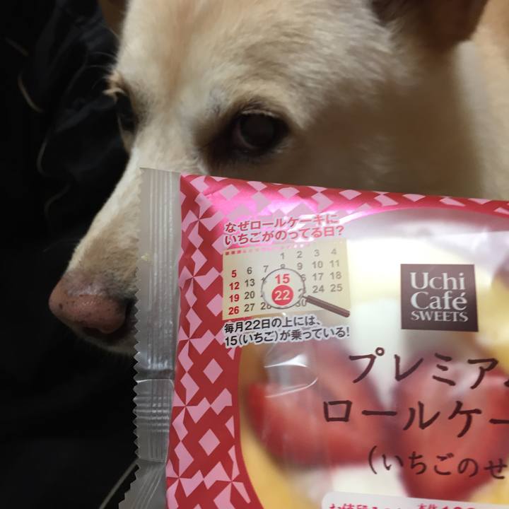 7e09df00 9161 4f82 a067 ba5123ad040e 1511355721882