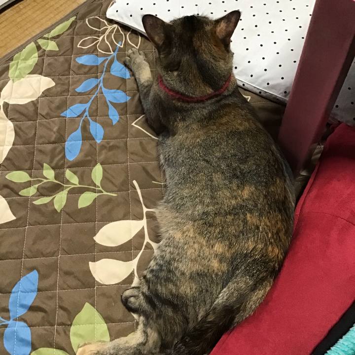 7e09e992 9c2c 4655 9b6e d87c02d7a44b 1601075433069