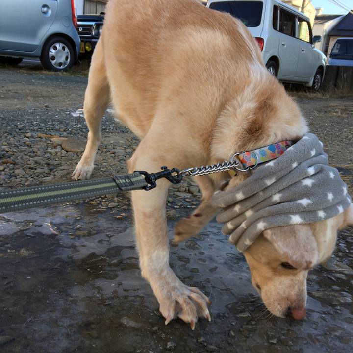 7e0a06aa 7601 4457 9b55 e53308ae4449 1515746612585