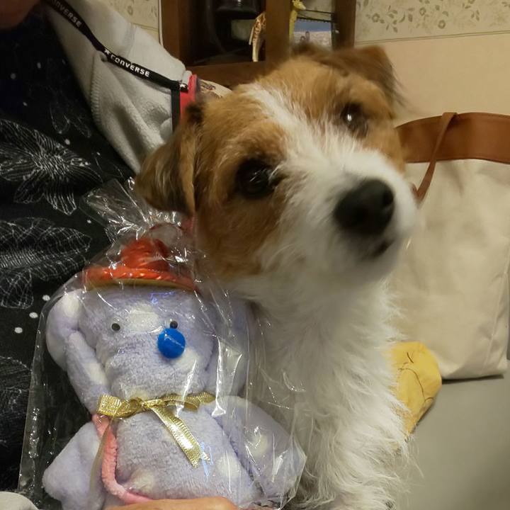 7e0a082e 940f 41cd a873 c86363a2c81c 1574932649217