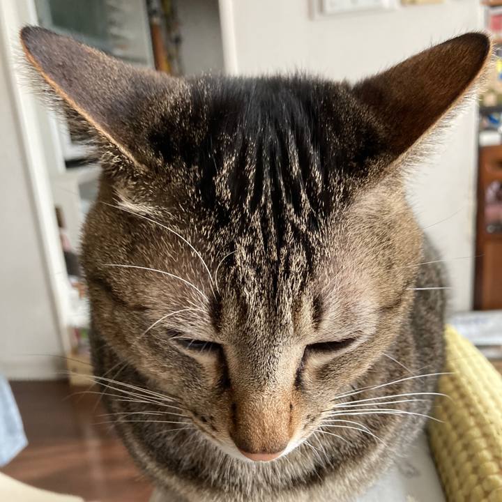 7e0a2913 33ed 40e6 a21e 7de52c2a5ea8 1764553792891