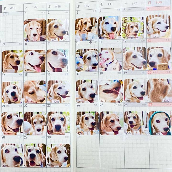 7e0a32f6 4ae2 4d63 ba15 f9e491c379e6 1626532259759