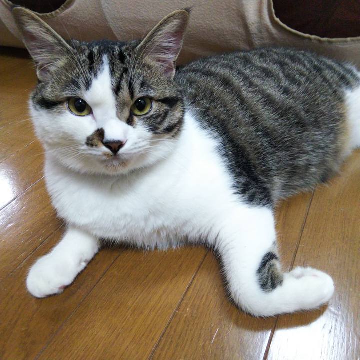 7e0a3ea2 4d32 471d 869c 85f6e1470143 1622806510729