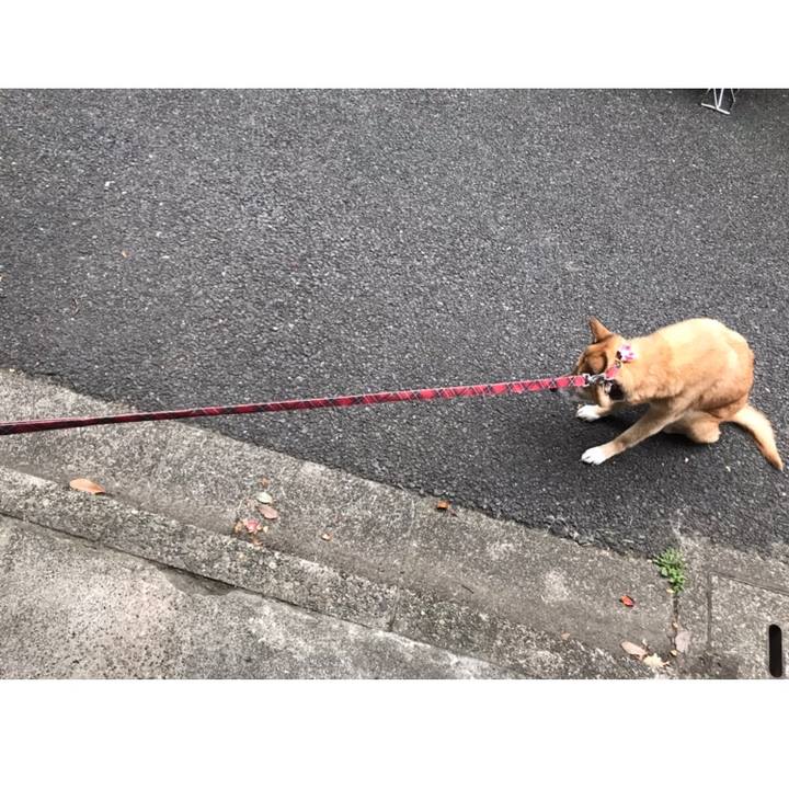 7e0a67ca fc49 47f9 b3d5 2190e294a040 1570626010655