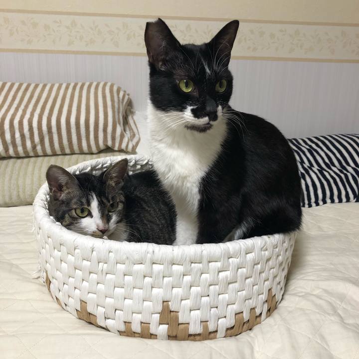 7e0a8b0e 9030 43a4 8994 60233878f23b 1560544197036