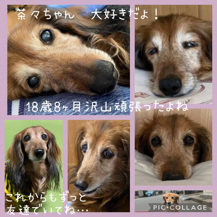 7e0abbff 19a6 4b28 a878 b3f457e3674f 1676904303942