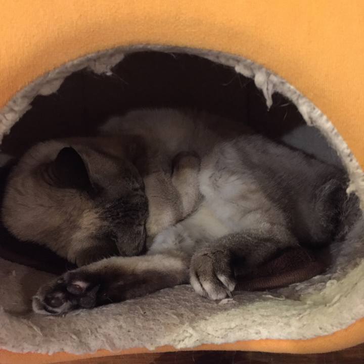 7e0b0532 f7a6 4f99 a5db 2dd311a8d368 1582019753429