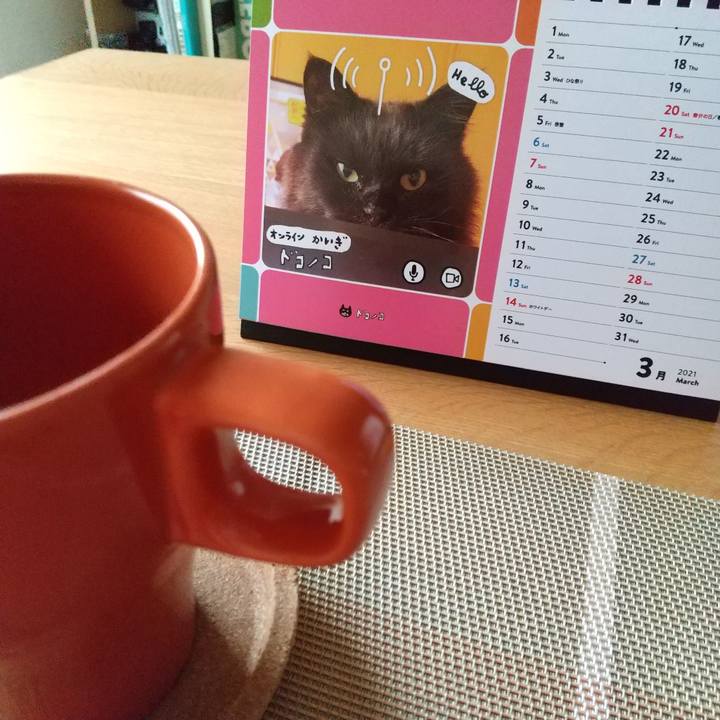 7e0b0a9d 2dc9 4adf 9ed5 036add13b8d4 1614584744002