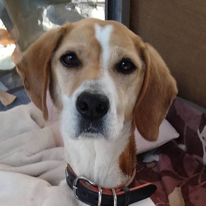 7e0b1c73 0f49 470e 9d99 6bbf3cba566f 1648127191990