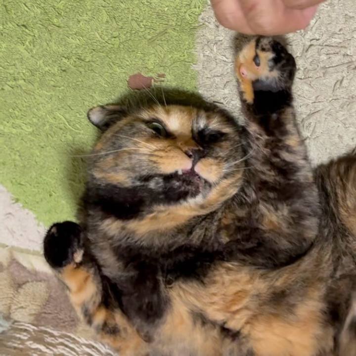 7e0b2c73 94d9 4e52 81ed 02dfee0140a0 1757757395050