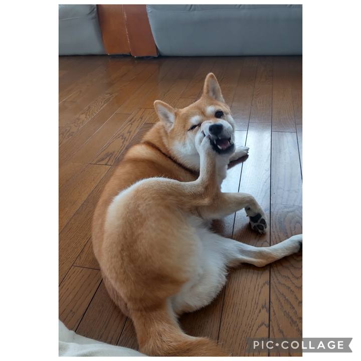 7e0b4358 ac22 442d 93cb 26467d65bd44 1766730285556