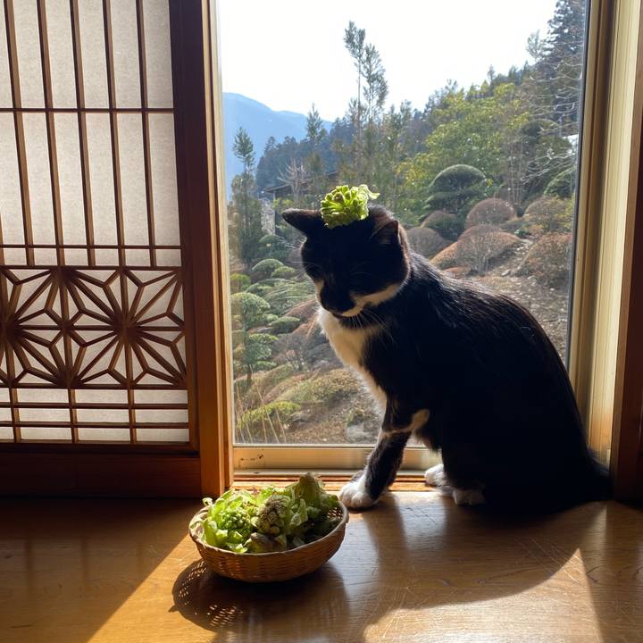 7e0b93a9 dea3 4972 a4ce b5ac93a953b4 1774183990279