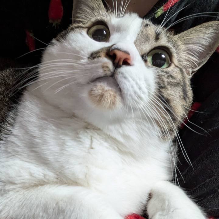 7e0ba10c 2e72 43d7 a50b 6207e78d00c3 1734610845993