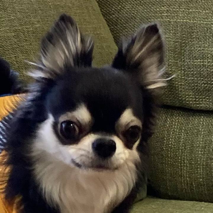 7e0bbcf7 4b1d 43a6 a7a2 75a3ac7a9f63 1676177445391