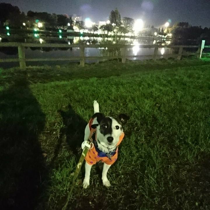 7e0be60e 2bdf 43af 8926 e9bae7765928 1509103830256