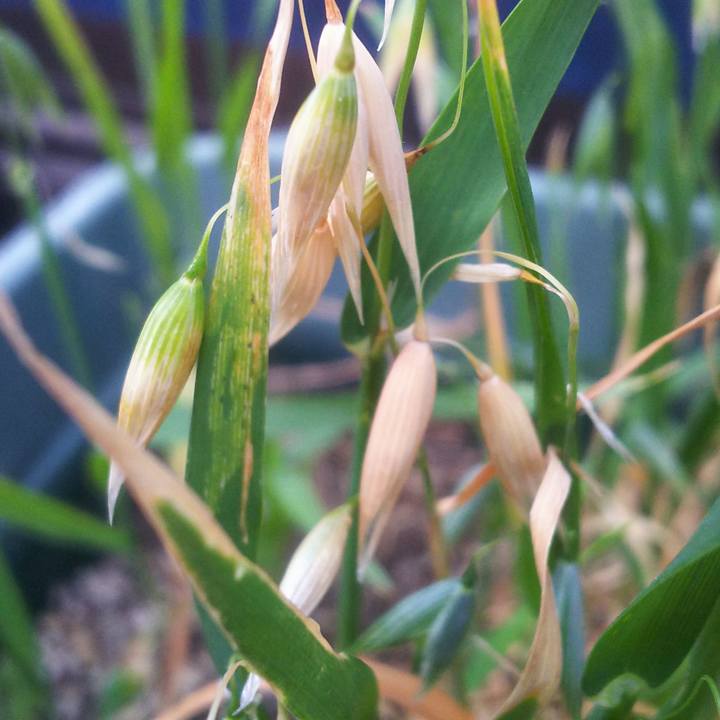 7e0c1792 e2fd 4aaf beb6 b5fe7ed1c5a7 1557993213422