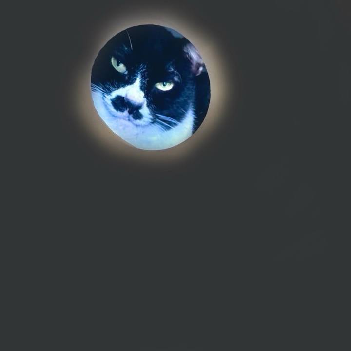 7e0c1fba 405a 48bc b150 3b2d7f594792 1759881675240