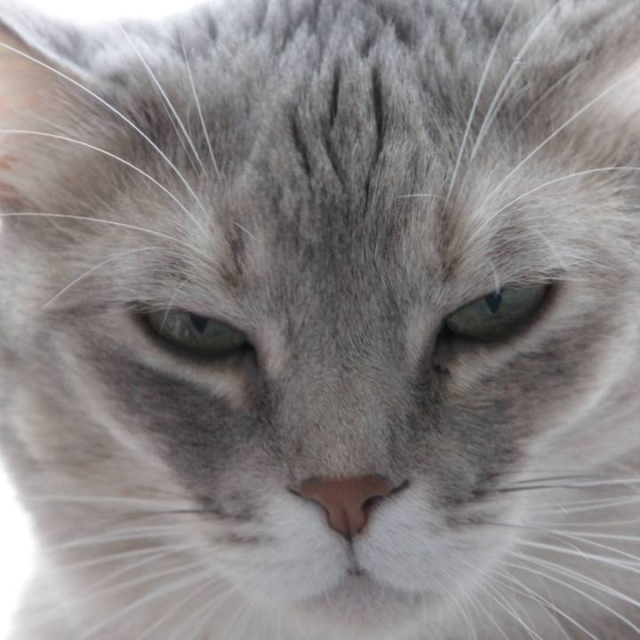 7e0c3817 0b2b 4283 b52d 54d9e3e00f93 1636992759343