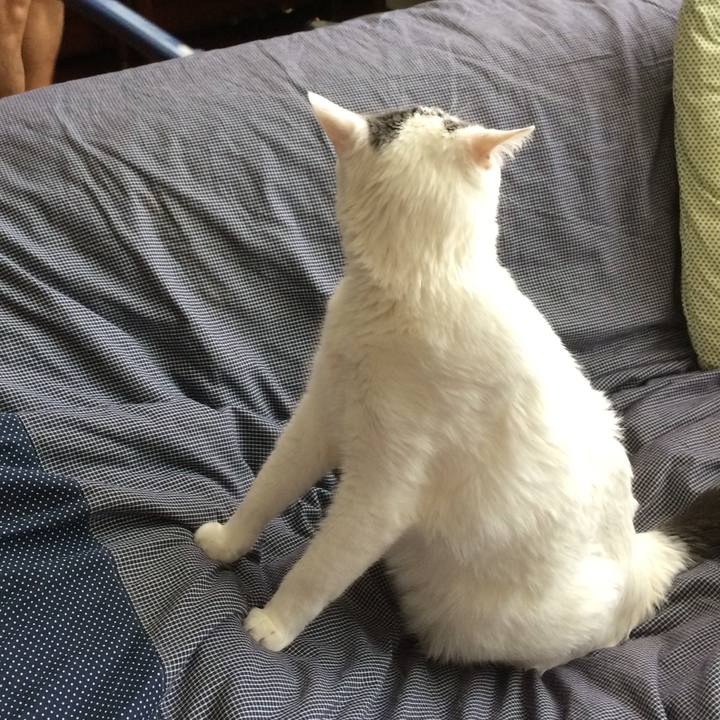 7e0c4177 4ba6 4bff a4b3 fcbd573bb785 1508295142996