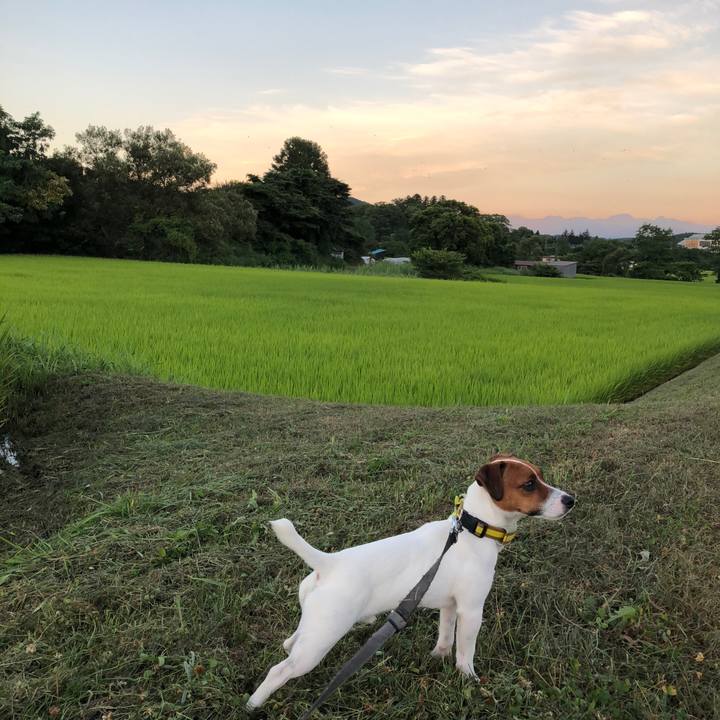 7e0cc4f3 a38a 4b7c 938d c43223fc23a6 1533123070873