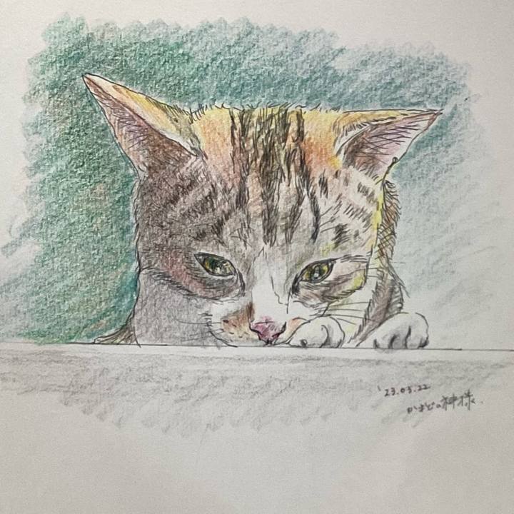 7e0ce73f faa1 4c19 b801 e7a4b2f8b86b 1679480796240