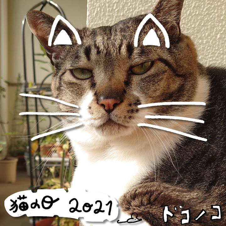 7e0d412f cf30 492f bee9 b4aabed9e072 1613960375836