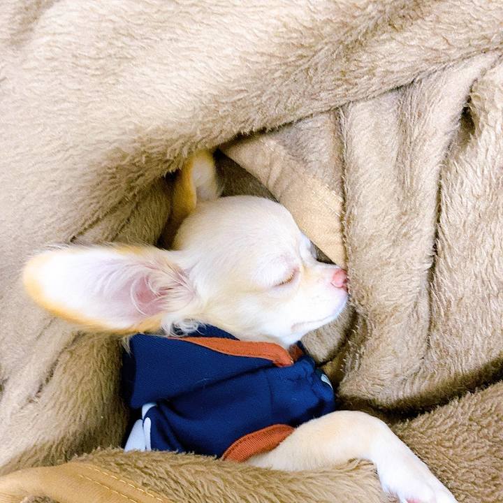 7e0da5e7 1c72 4cac 802a fe3e66585a7a 1595079236809